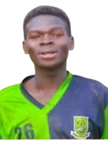 Vincent Luchu Icon